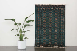 4x6.5 Pakistani Rug | DALBIR