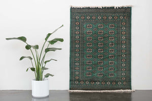 4x6 Peshawar Bokhara Rug | DEENAR