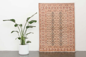 4x5 Peshawar Bokhara Rug | DAYFAH