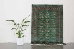 5x7.5 Pakistani Rug | DEMA