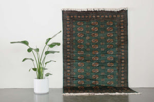 5x8.5 Pakistani Rug | DAUDI