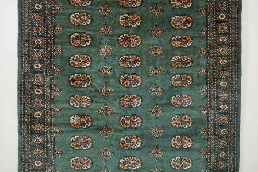 5x8.5 Pakistani Rug | DAUDI