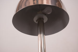 Mushroom Floor Lamp by Walter Von Nessen
