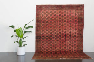 6.5x9.5 Persian Rug | NIMOD