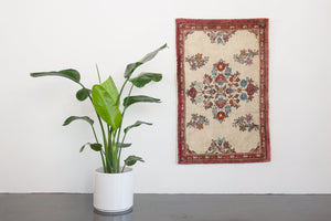 3x4 Persian Rug | NIVTOUR