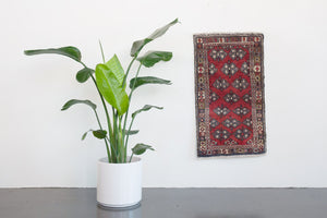 2x3 Persian Rug | NIVAND
