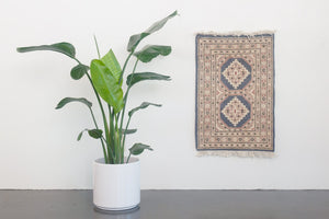 2x3 Pakistani Rug | DILAFROZ