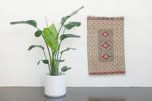 2x3.5 Pakistani Rug | DIHYAH