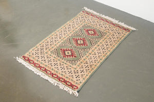 2x3.5 Pakistani Rug | DIHYAH