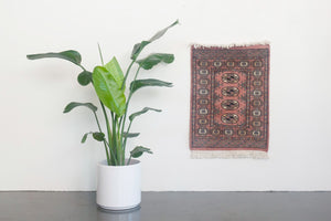 2x3 Pakistani Rug | DIDAR