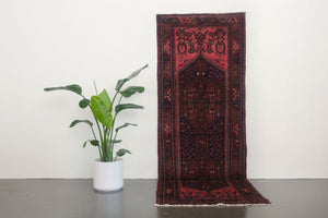 3.5x10 Persian Rug | PADRAM