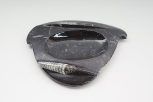 Carved Orthoceras Tray