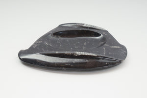 Carved Orthoceras Tray