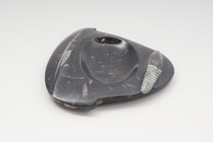 Carved Orthoceras Tray