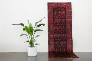 3x9 Persian Rug | ROYIN