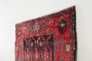 3x9 Persian Rug | ROYIN