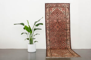 3.5x10.5 Persian Rug | SABER