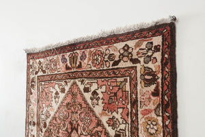 3.5x10.5 Persian Rug | SABER