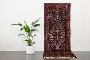 3.5x10 Persian Rug | RAZI
