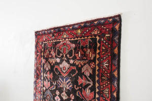 3.5x10 Persian Rug | RAZI