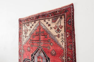 3.5x9.5 Persian Zanjan Rug | SADRI