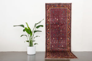 3.5x10 Persian Rug | RAHZAD