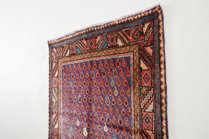3.5x10 Persian Rug | RAHZAD