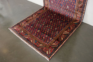 3.5x10 Persian Rug | RAHZAD