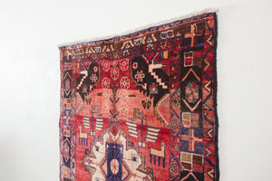 4x9 Persian Rug | RAJI