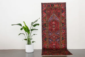 3.5x9.5 Persian Rug | RAOUF