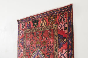 3.5x9.5 Persian Rug | RAOUF