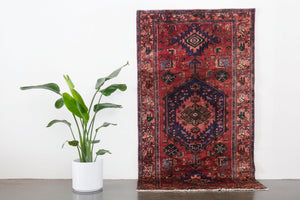 4.5x8 Persian Rug | RASHIN