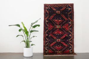 4x7.5 Persian Rug | RAZBAN