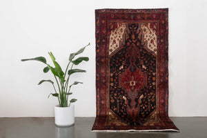 4.5x9 Persian Zanjan Rug | SALAH