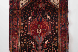 4.5x9 Persian Zanjan Rug | SALAH