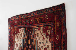 4.5x9 Persian Zanjan Rug | SALAH