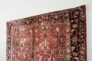 5x10 Persian Zanjan Rug | SALIM