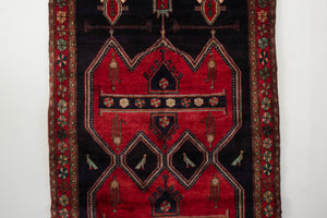 5x10 Persian Rug | SARIR