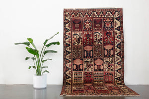 5x10 Persian Bakhtiar Rug | SARANG