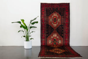 4x11.5 Persian Zanjan Rug | RYKA