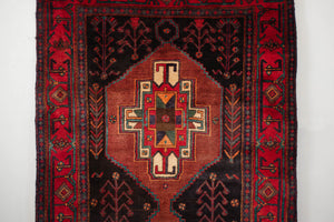 4x11.5 Persian Zanjan Rug | RYKA