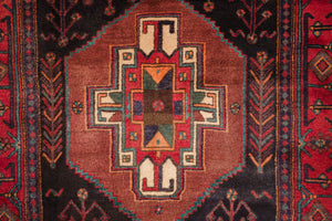 4x11.5 Persian Zanjan Rug | RYKA