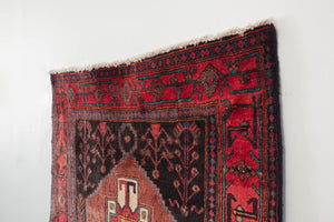 4x11.5 Persian Zanjan Rug | RYKA