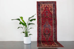 3x10 Persian Rug | SAMYAR