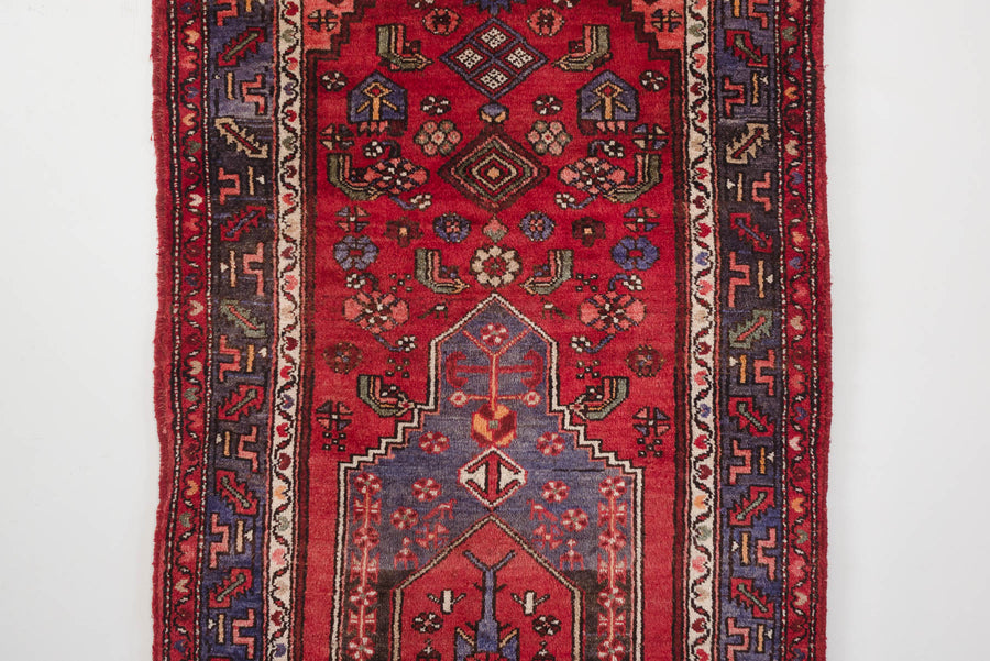 3x10 Persian Rug | SAMYAR
