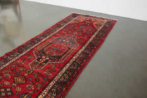 3x10 Persian Rug | SAMYAR