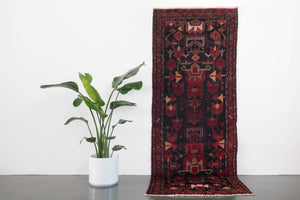 3x9 Persian Rug | SALMAN