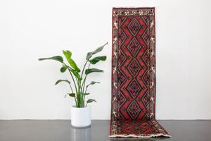 3x10 Persian Rug | SAMI