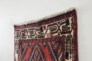 3x10 Persian Rug | SAMI