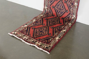 3x10 Persian Rug | SAMI